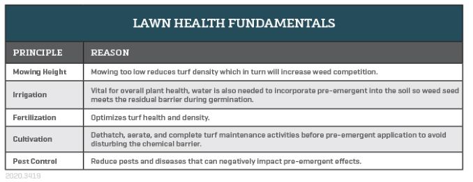 Turf health fundamentals to maximize the effects of preemergent herbicide application