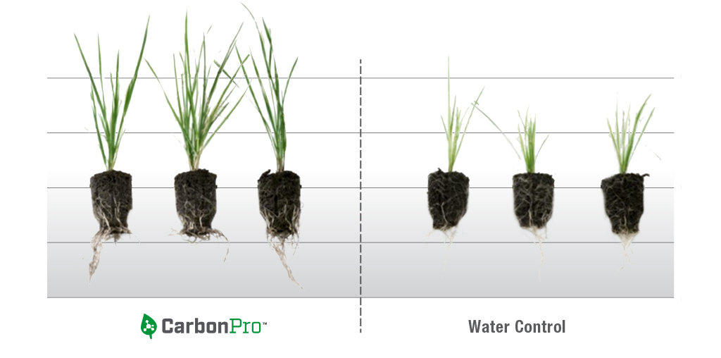 CarbonPro-_Chart-2-Roots.jpg