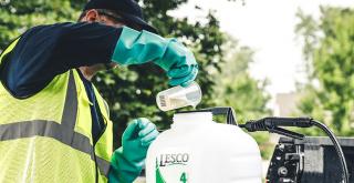 Pre Emergent Application Timing Tips Lesco